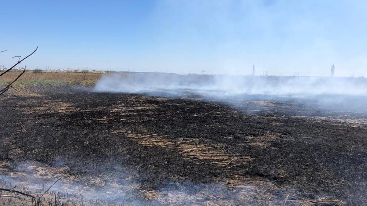 incendiu_peris_garda_nationala_de_mediu_fb