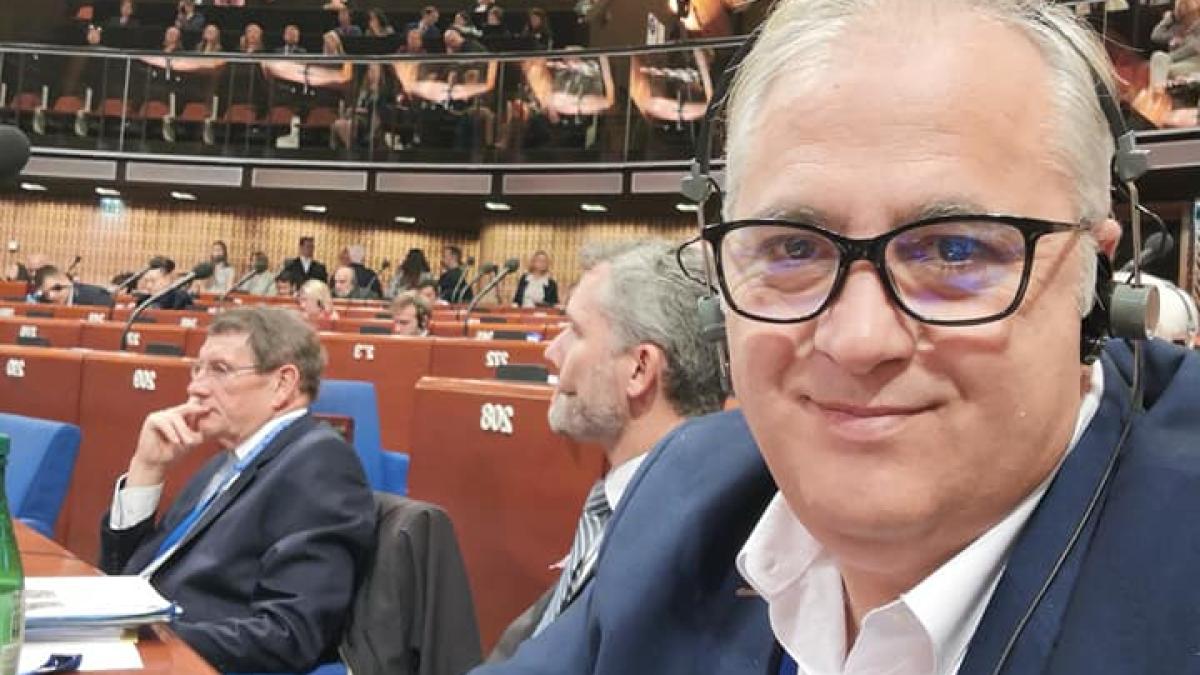 viorel_badea_pnl_daspora