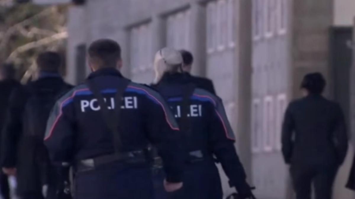 elvetia_politie_ilustrativ