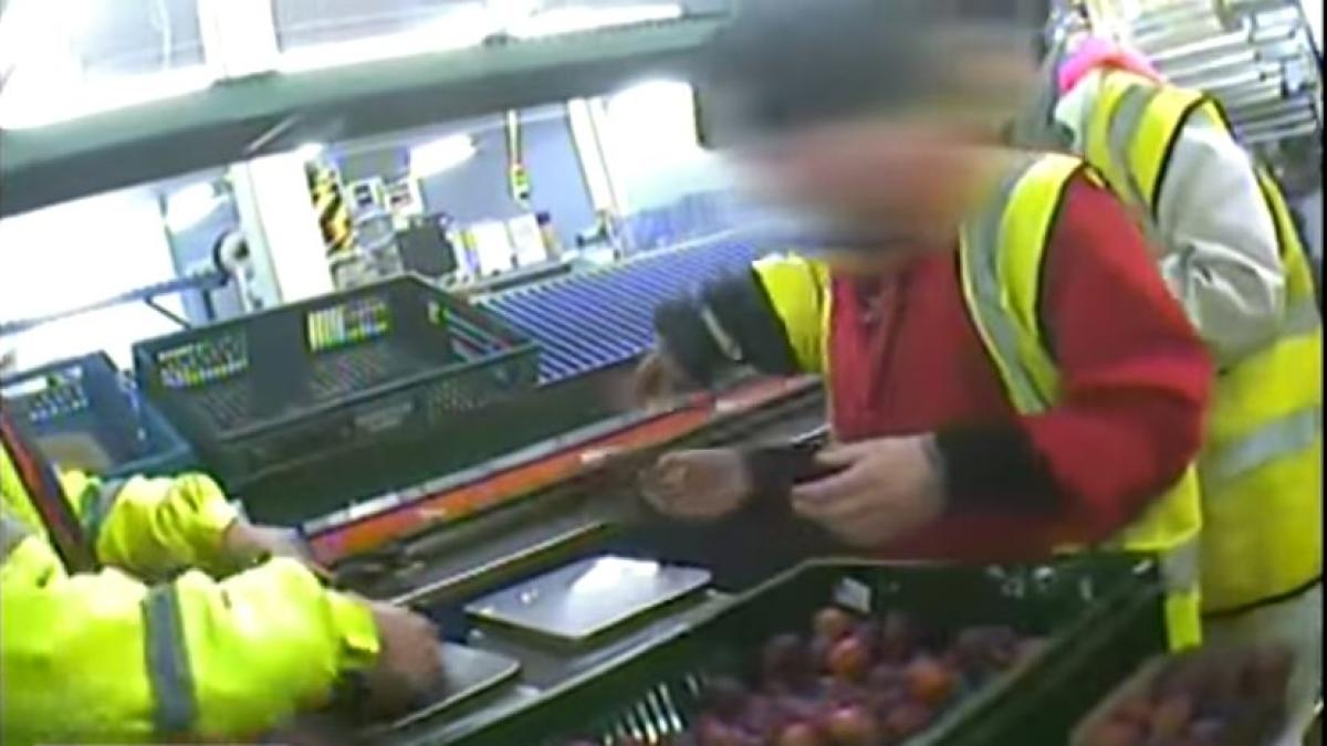 romani_cules_agricultura_anglia_scotia_uk