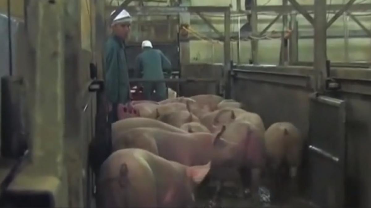 muncitor_abator_germania_ilustrativ