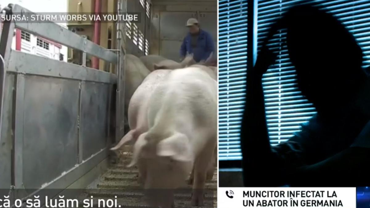 658416520000000000051523