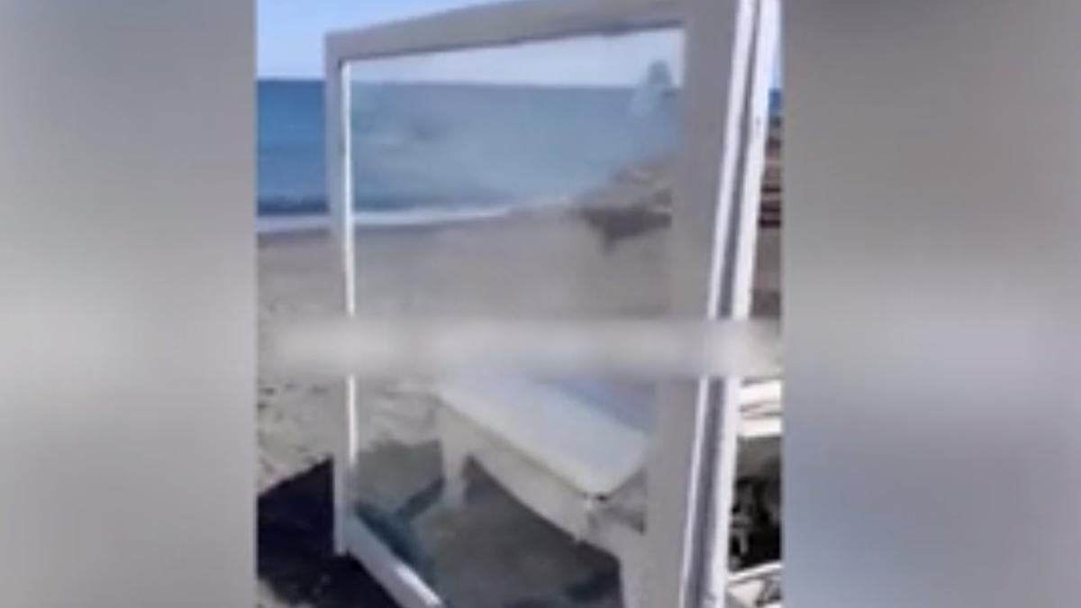 9849502315156111111111