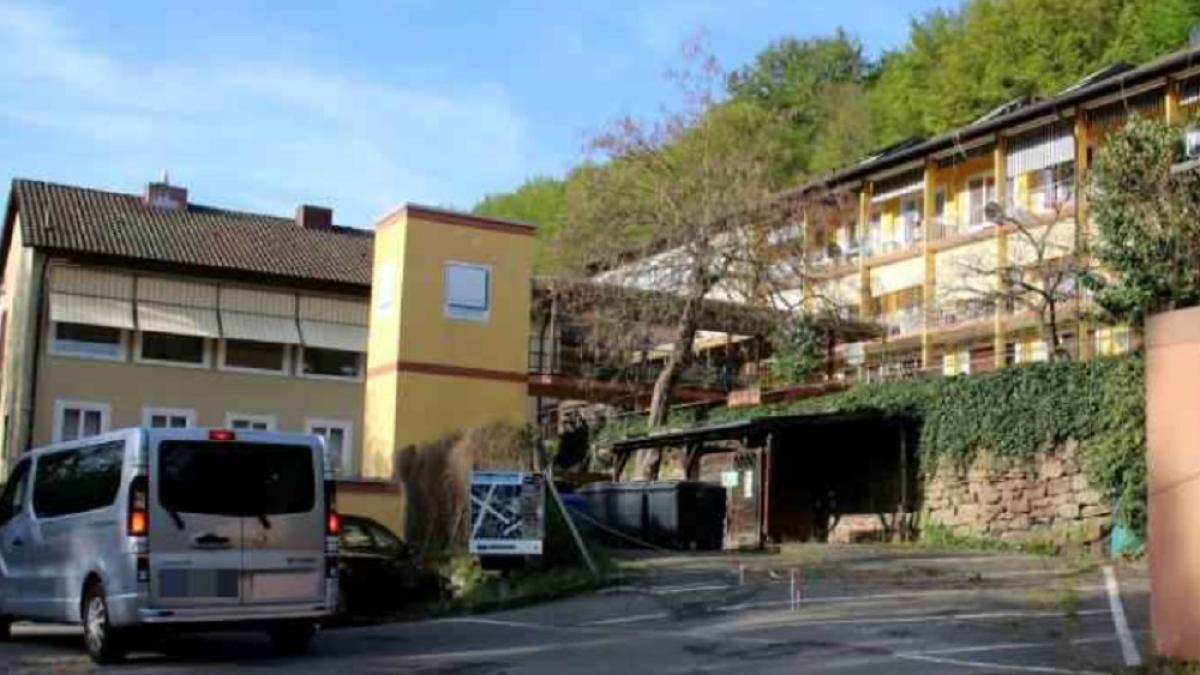 muller_fleisch_abator_germania_romani_infectati_covid