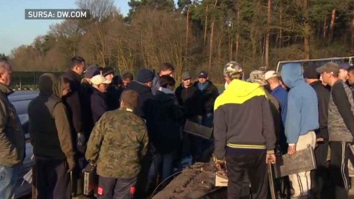 muncitori_romani_sparanghel_captura_16_05_2020