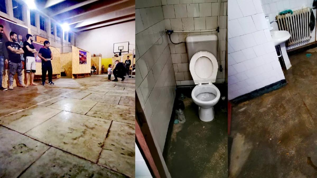 carantina_liceu_auto_timis