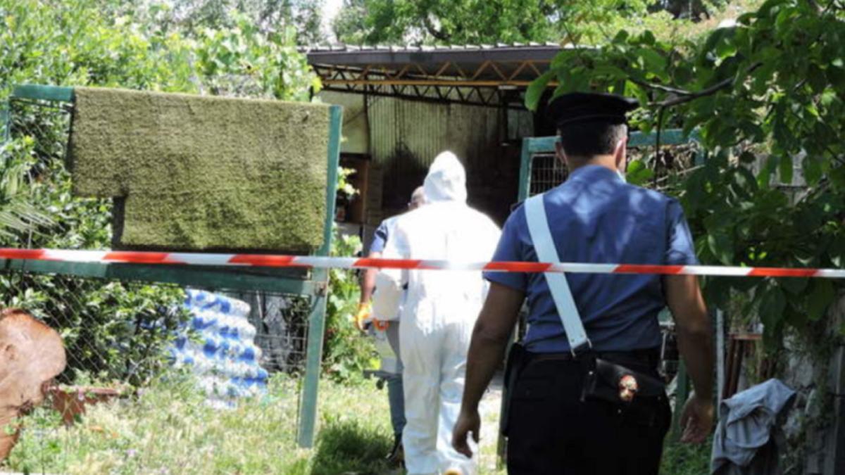 8489644444444444444445123062626262