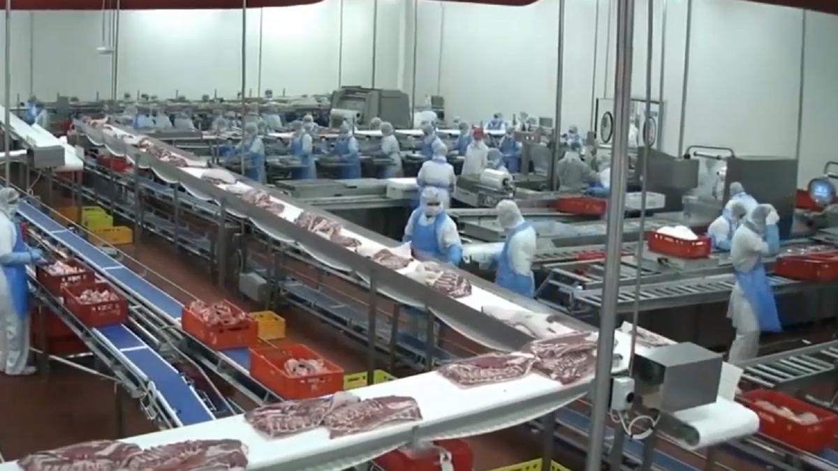 abator_germania_muncitori_ilustrativ_22_05_2020