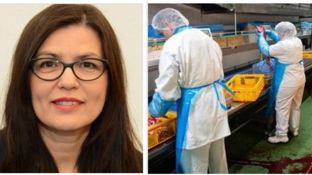 sevghin_mayr_muncitori_romani_abator