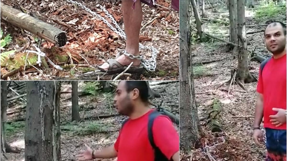 parang_tanar_legat_copac_65265