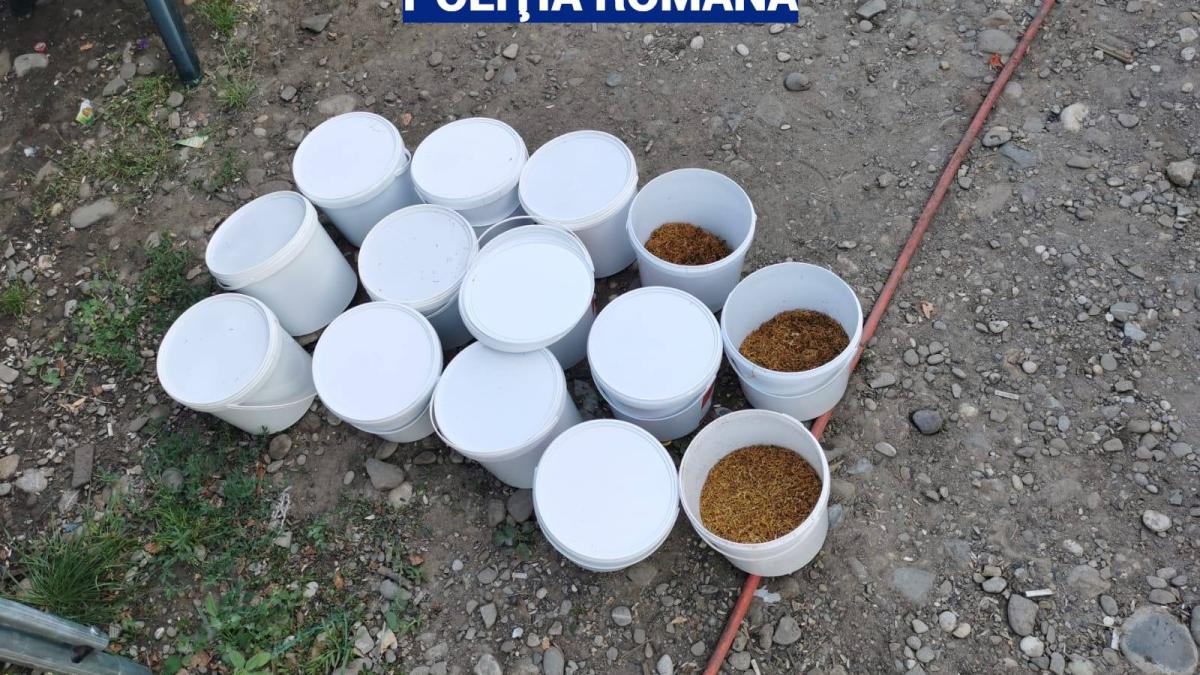 tutun_politia_romana