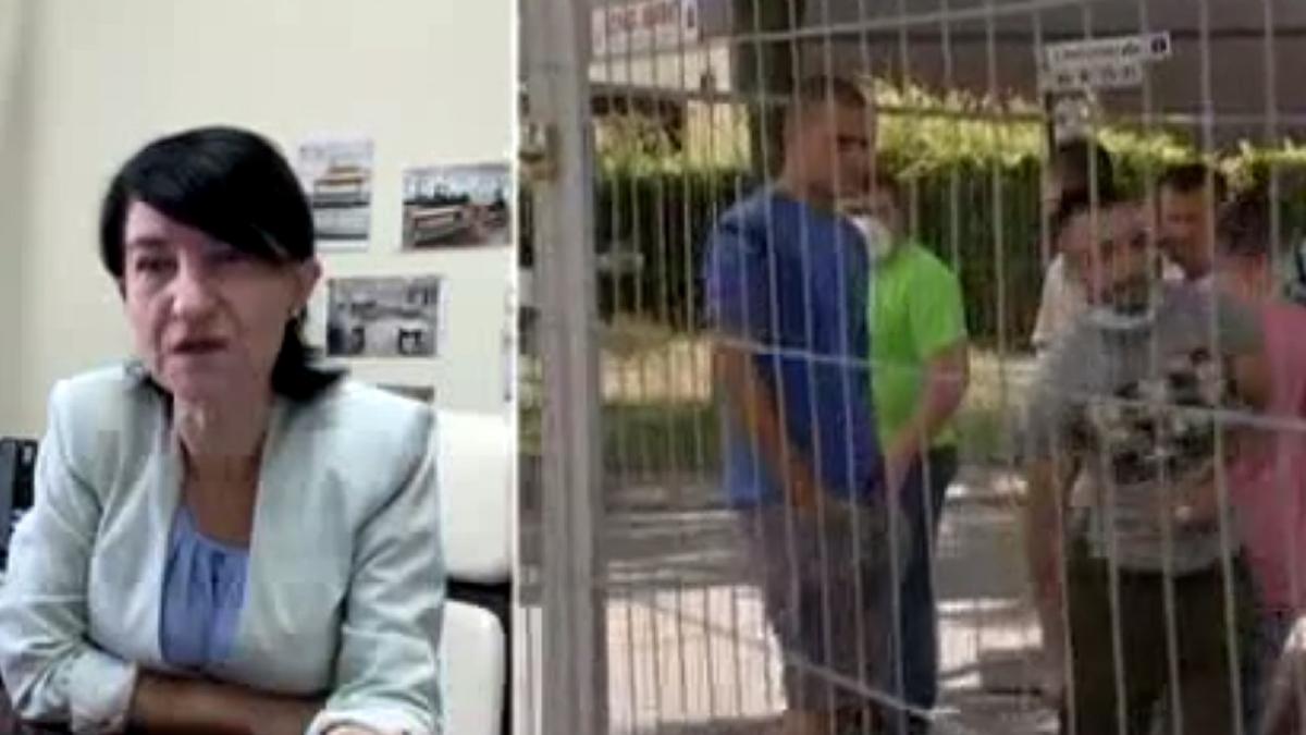 violeta_alexandru_colaj_romani_germania