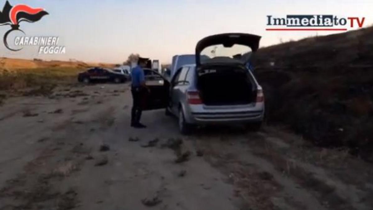 masini_dezmembate_italia