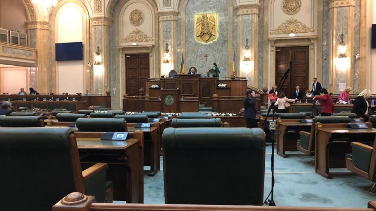 alina_gorghiu_senat_04_12_2019_2