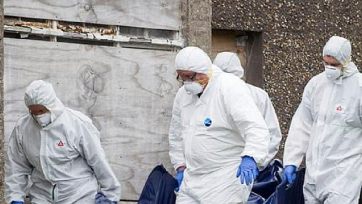 crima_irlanda_cadavru