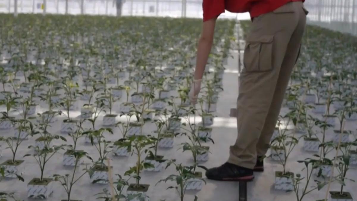 sera_muncitor_ilustrativ_captura_29_07_2020