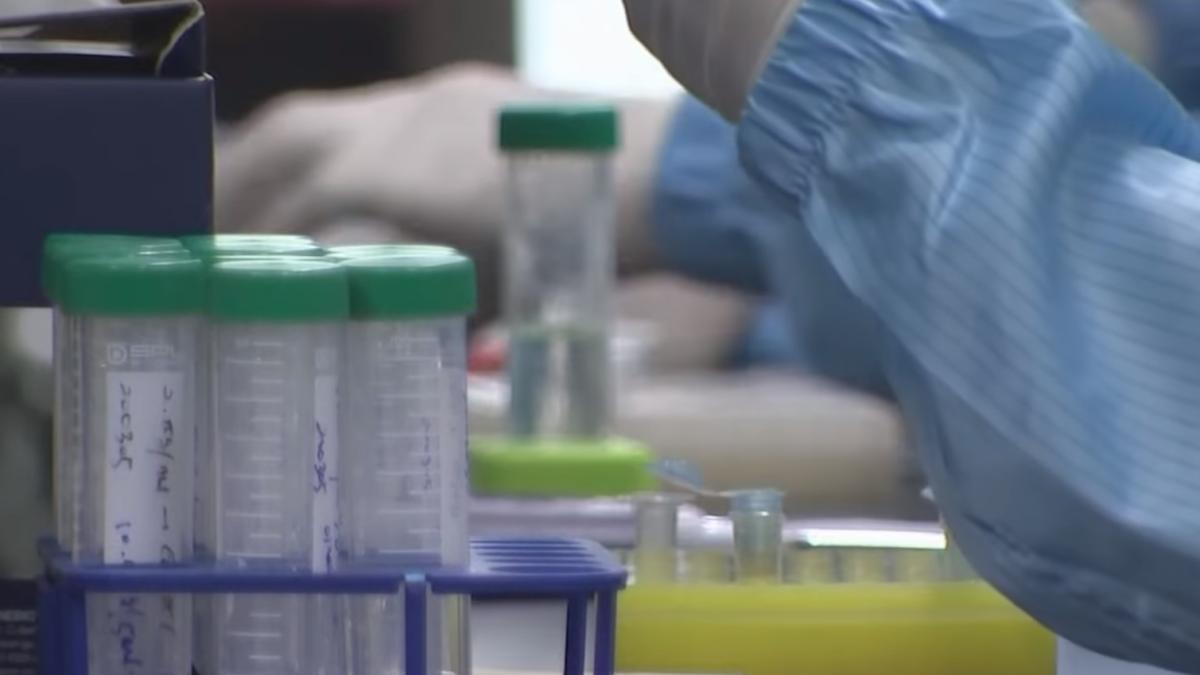 coronavirus_teste_captura_24_03_2020