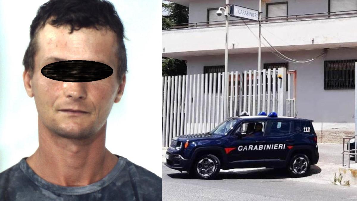 costica_madalin_t_italia_viol