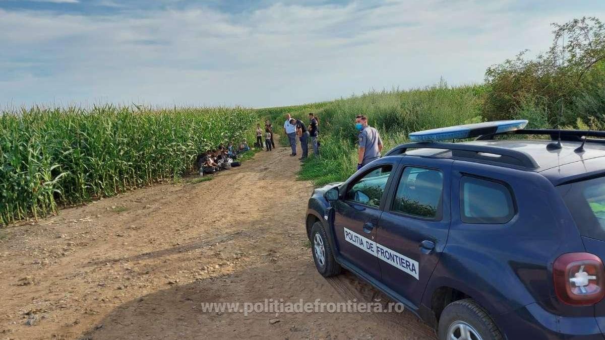 politia_de_forntierea_migranti_lan_porumb