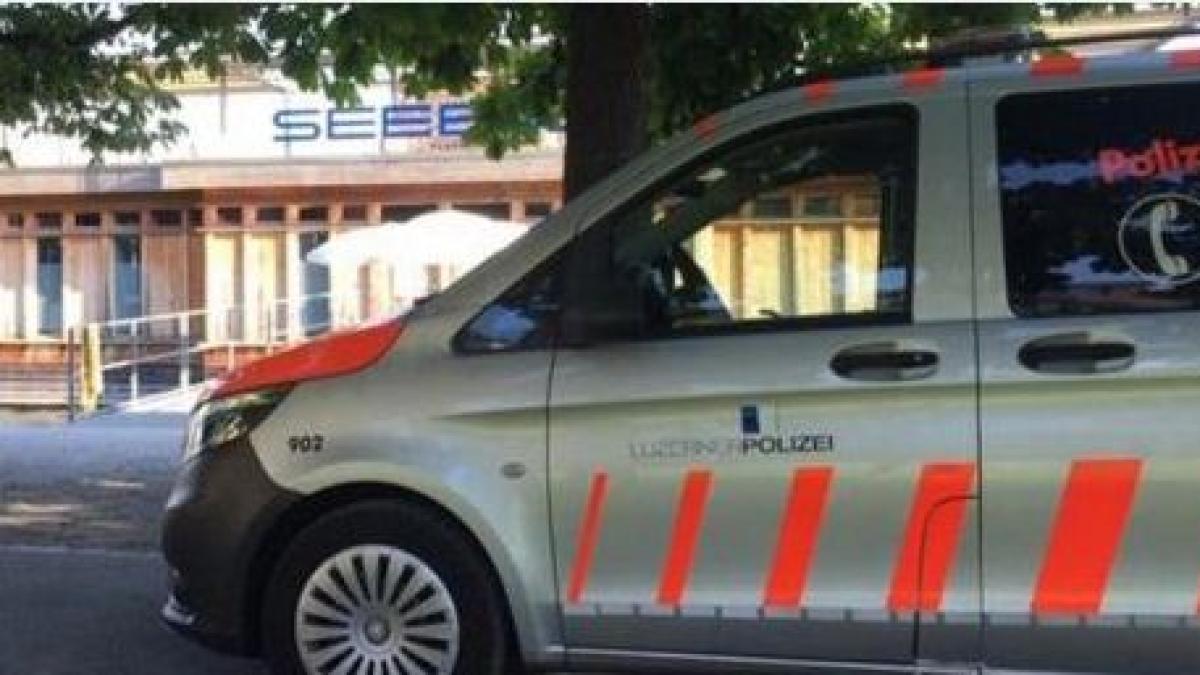 politia_elvetia_masina