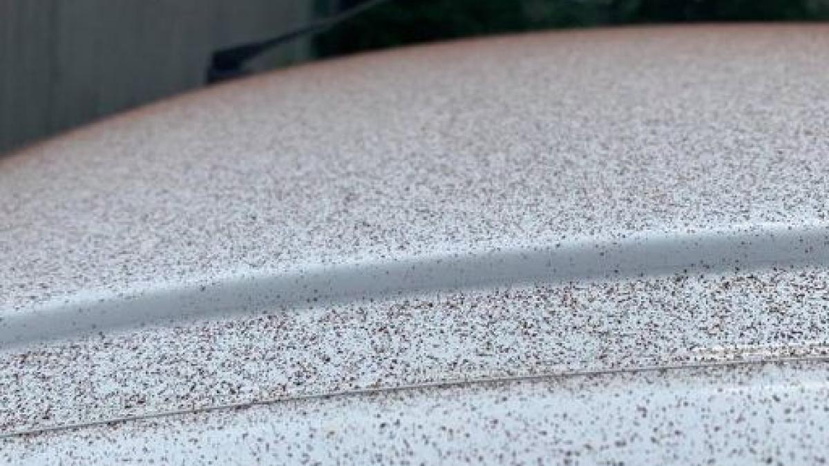 ciocolata_masini_elvetia