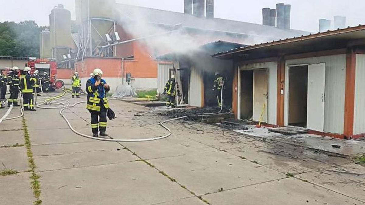 incendiu_containere_muncitori_romani_gaini_germania