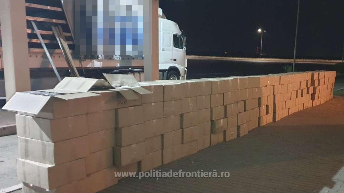 tigari_ascunse_frontiera