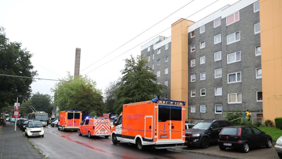 copii_germania_colingen_cadavre