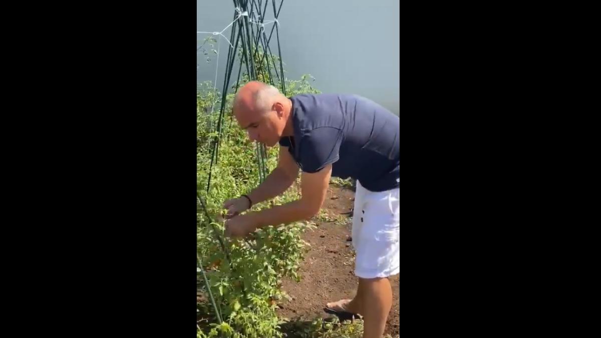 rares_bogdan_la_cules_legume