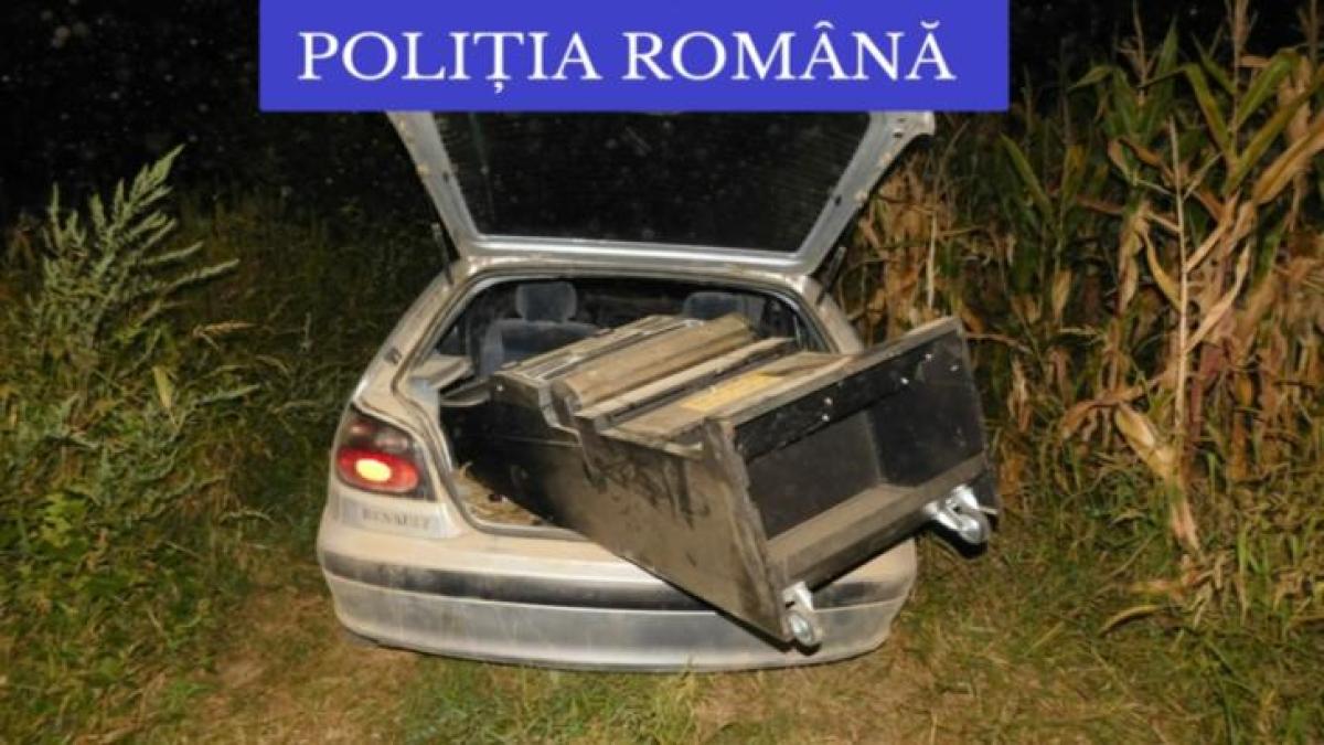 pcanele_masina_politie