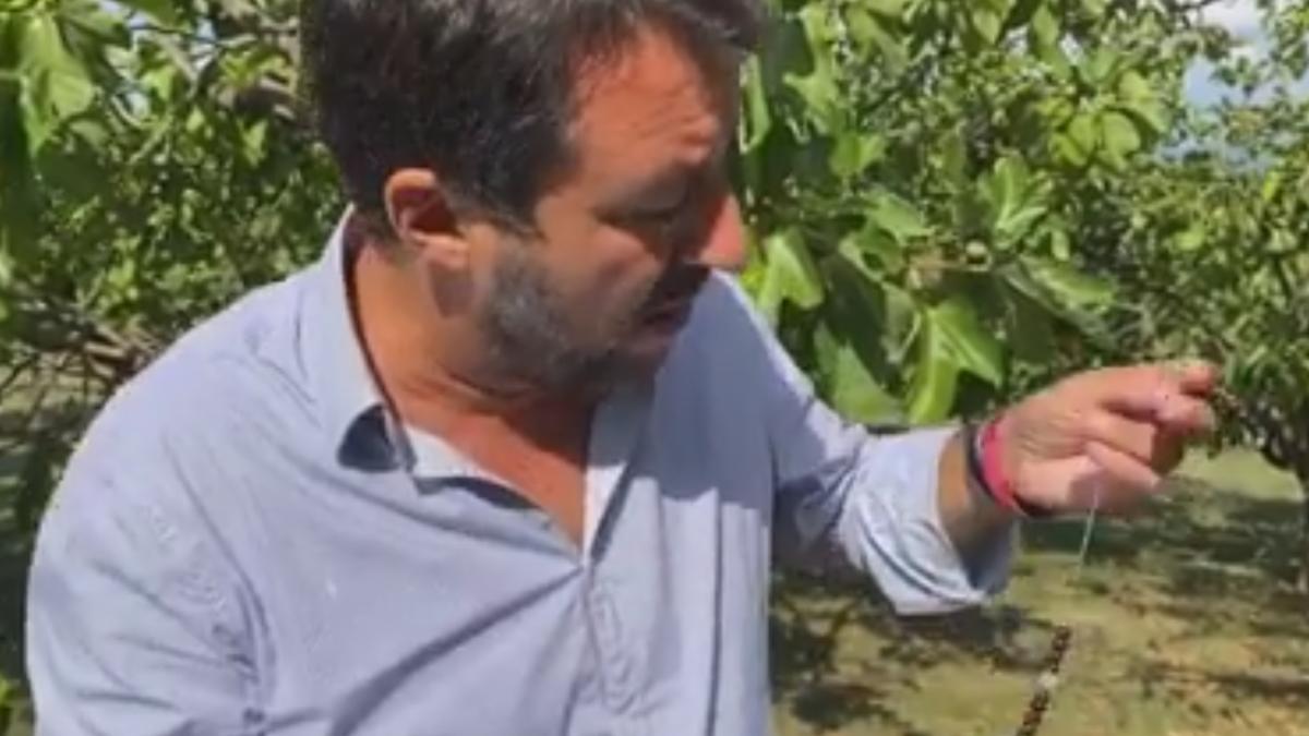 matteo_salvini_rosariu_camasa