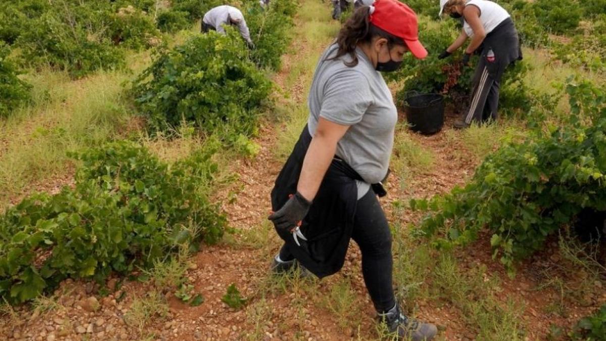 romani_podgorii_spania