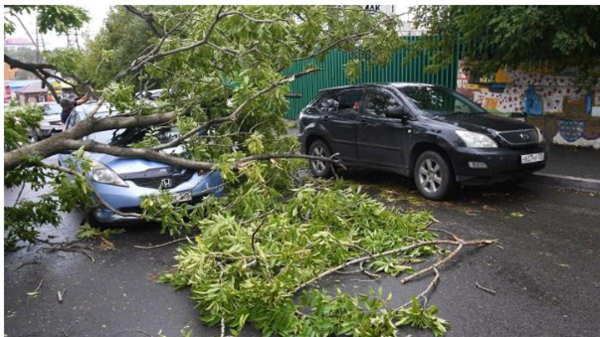 furtuna_moscova_dezastru