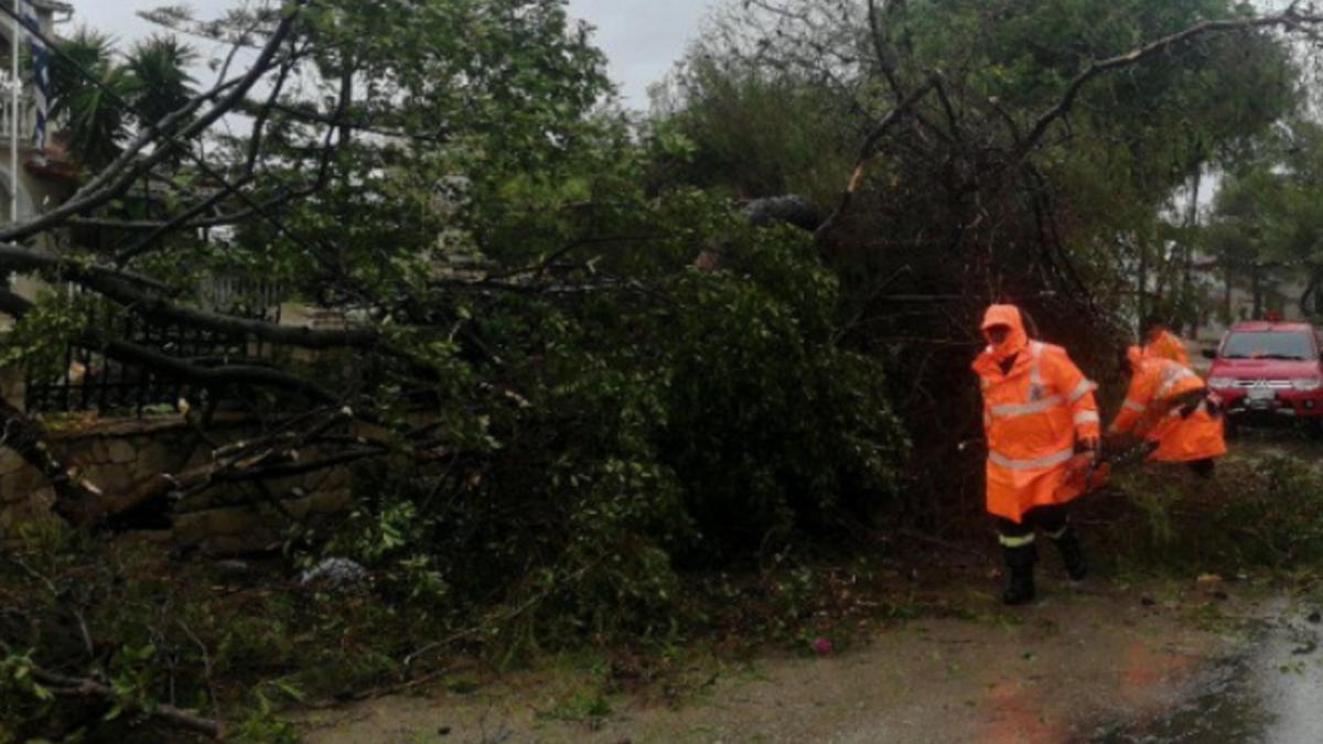 grecia_uragan_furtuna_copaci_distrusi_captura_digi