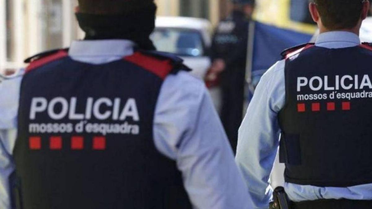 policia_spania_politie_spania