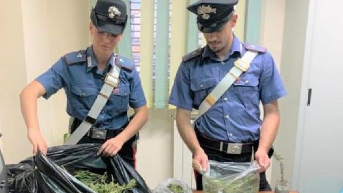 carabinieri_marijuana_roman
