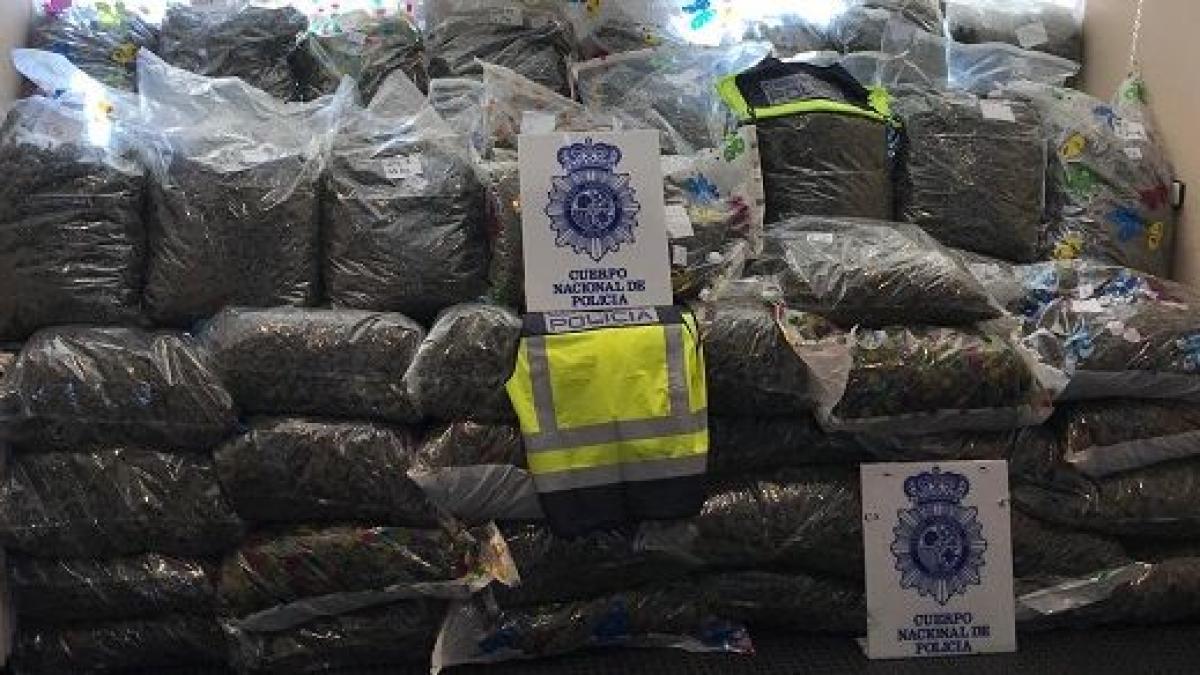 spania_retea_droguri