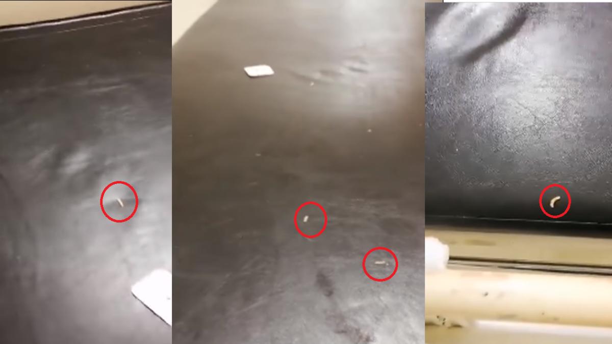 viermi_spital_roman_targa