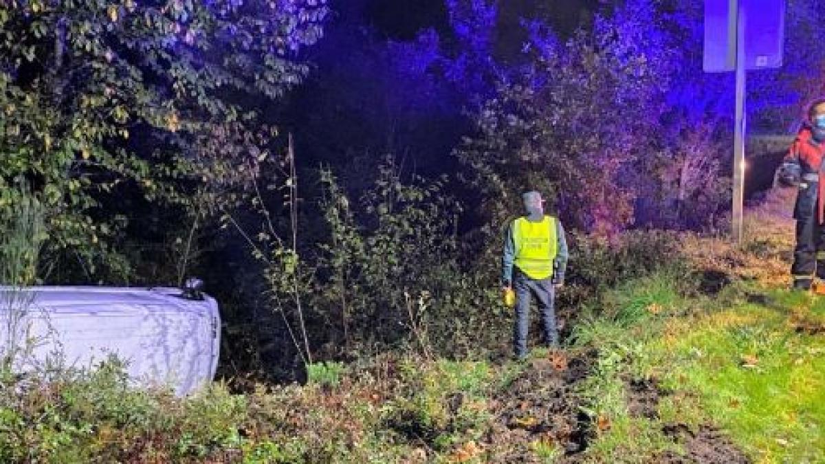 duba_rasturnata_spania