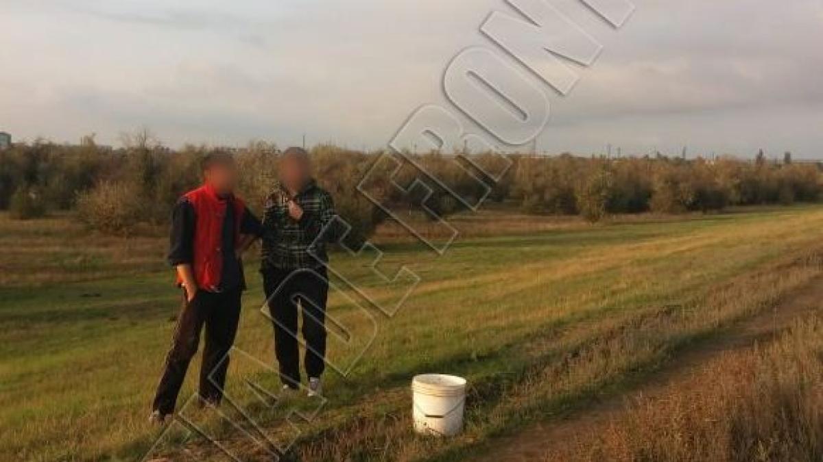 vama_moldova_ucraina_ciuperci