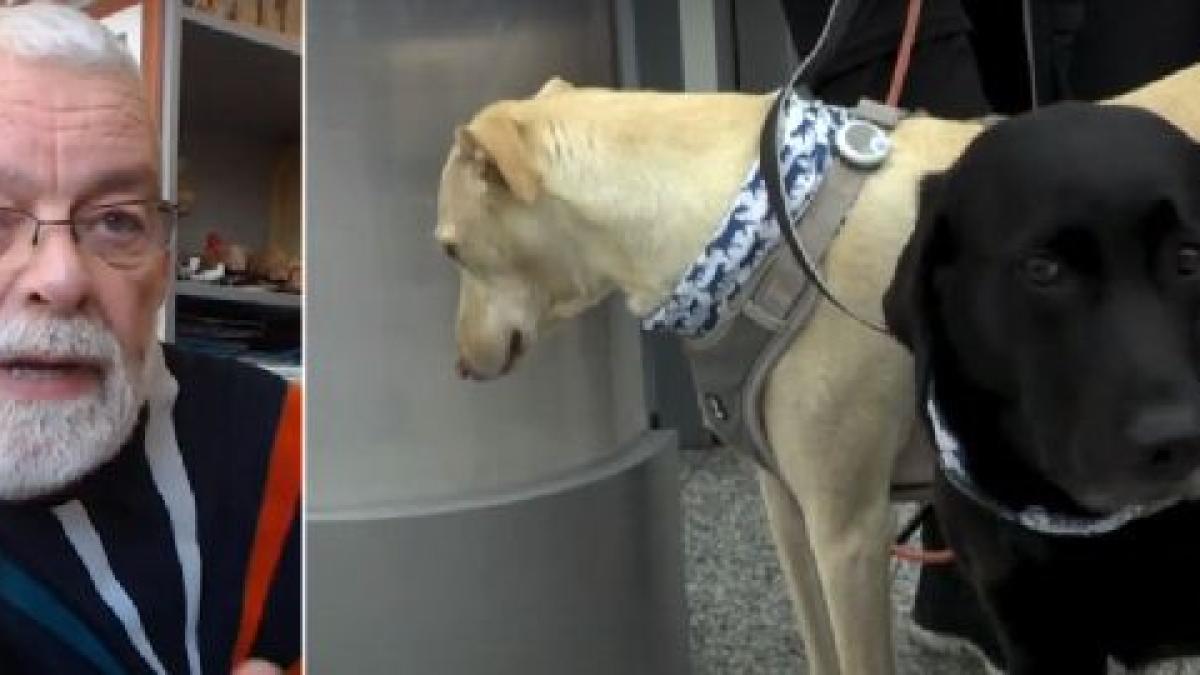 catei_antrenati_franta_covid