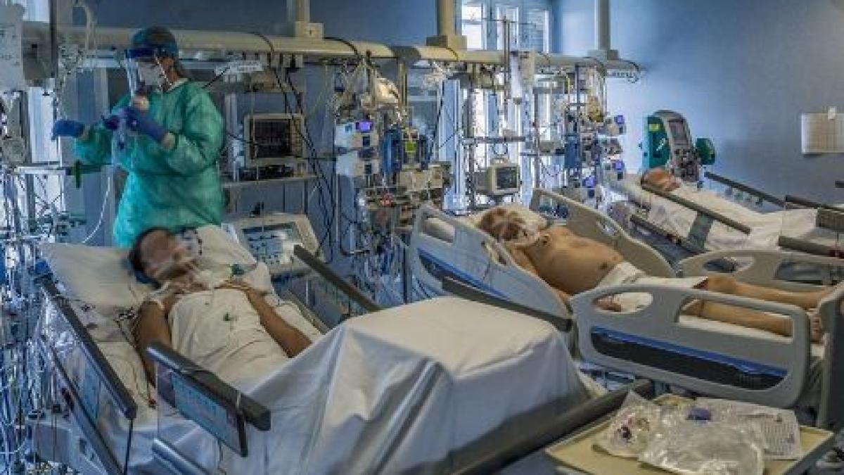 bilant_diaspora_covid_14_noiembrie