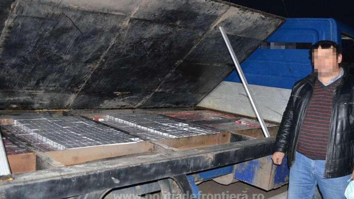 roman_tigari_de_contrabanda