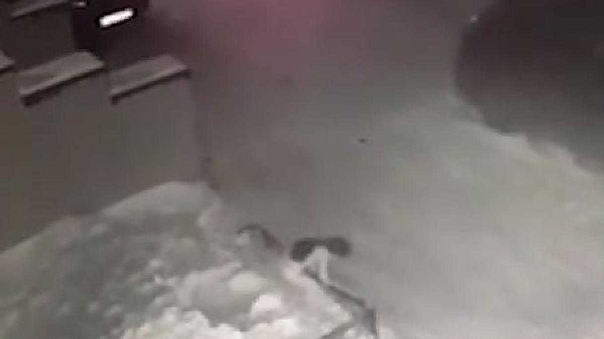 fetita_cazuta_de_la_etajul_patru