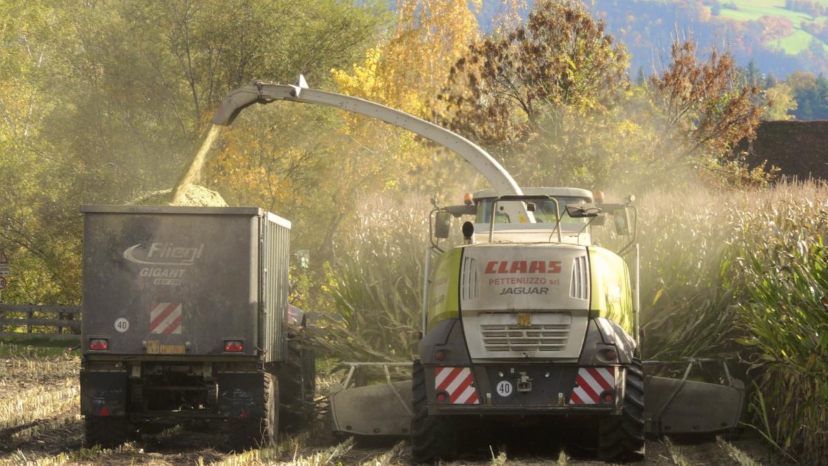 agricultura_semanatoare_cooperativa