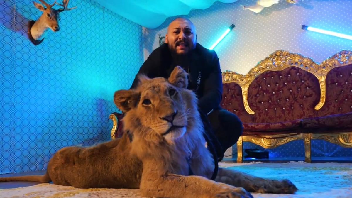 dani_mocanu_leu_ranit