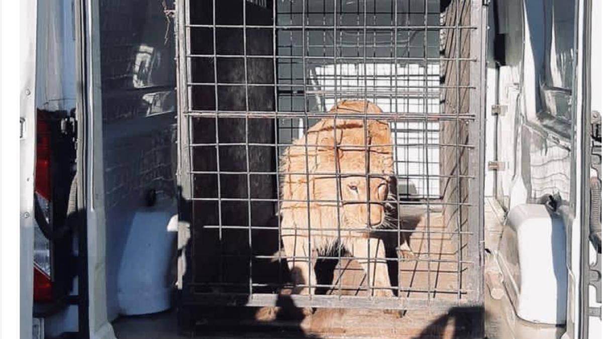 leu_videoclip_dani_vela