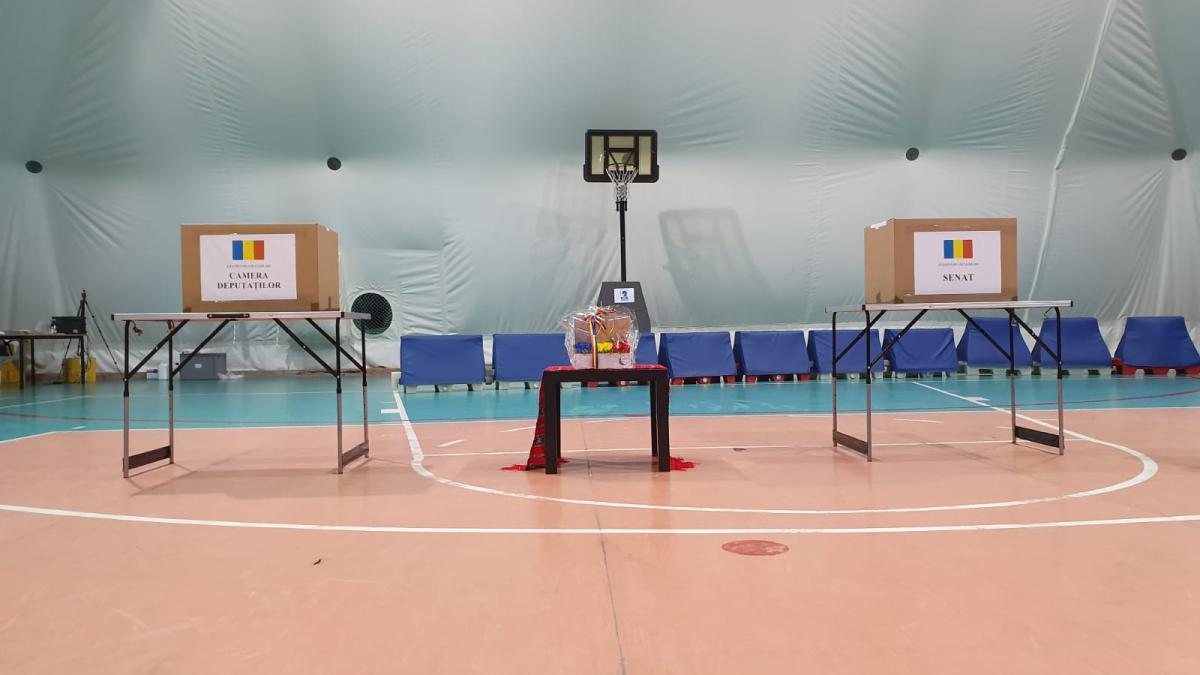 poza_buna_urne_alegeri_arlamentare_senat_camera_flori