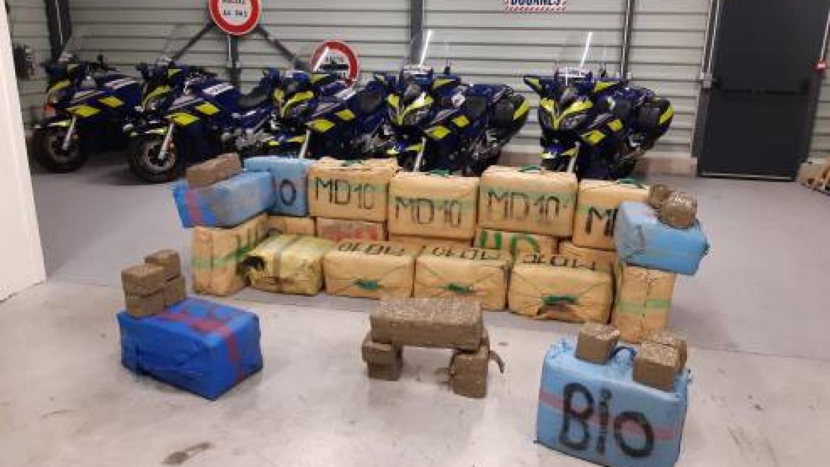 polen_cannabis_romna_franta