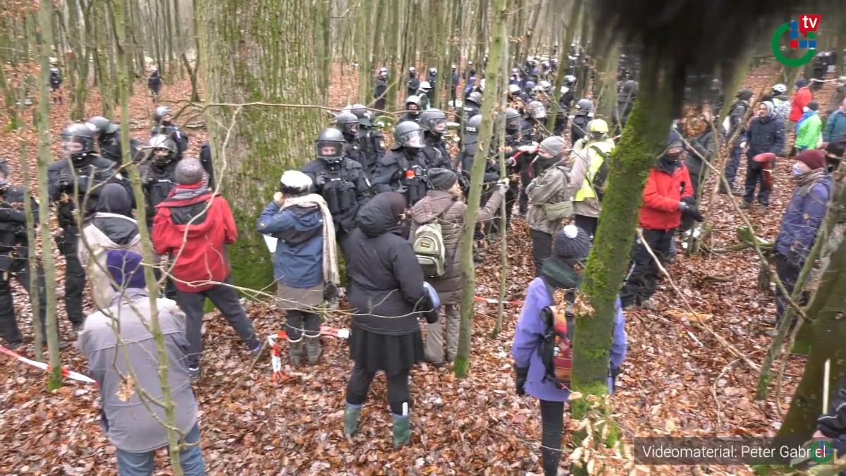 protest_padure_germania